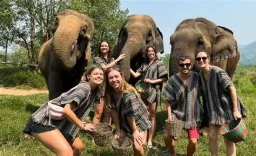siem reap elephant tour